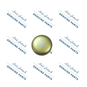 پولکی سکه ای آب جک اس 5