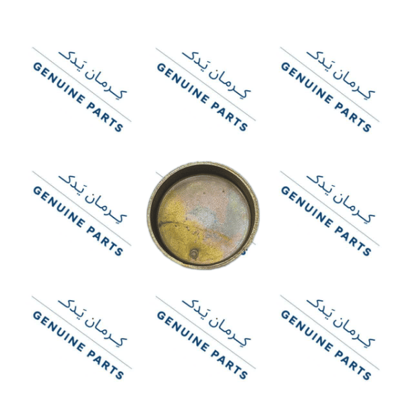 پولکی سکه ای آب جک اس 5